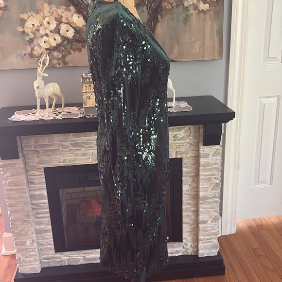 Boston Proper Alexia Admor $189 green velvet sequins long sleeve holiday dress 2 - Picture 5 of 10